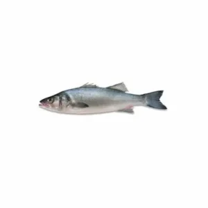 Brancin 1kg