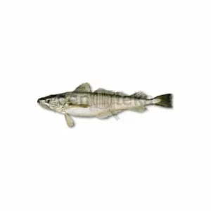 Oslic 1kg