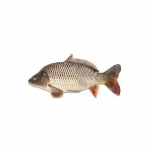 Saran 1kg