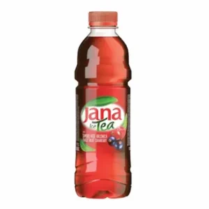 Ledeni čaj JANA šumsko voće 1.5l